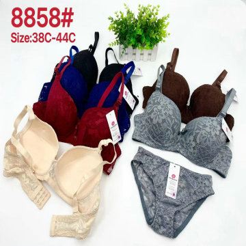 Wholesale Big Cup Padded Bras for Women - Size 36-44 MQS033 Model