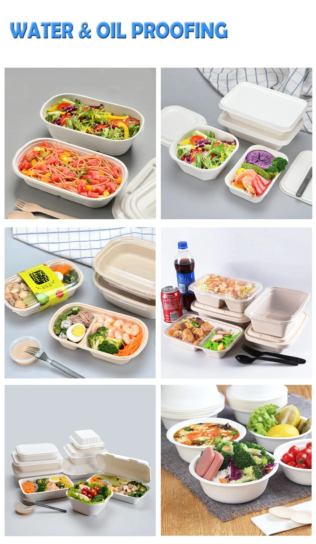 Disposable Biodegradable Eco Sugarcane Bagasse Paper Food Container Tray