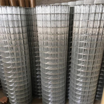 Welded Galvanized Wire Mesh with excellence quality