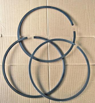 Engine Piston Ring 255