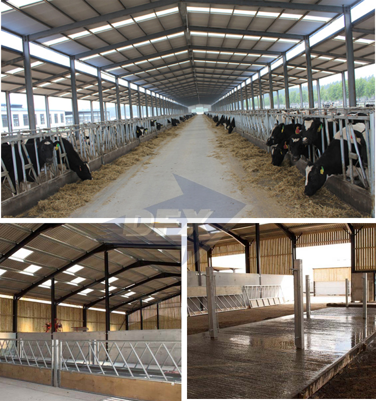 Poultry Farm Industrial Metal Frame Steel Prefabricated Cattle Barn Agricultural Shed