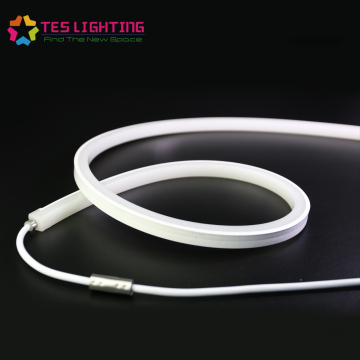 24 volt Neon led strip lights