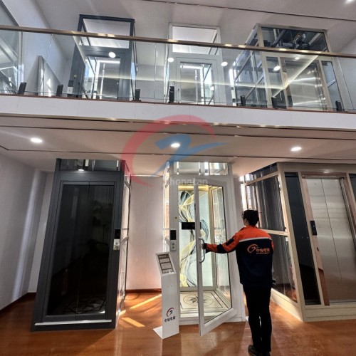 Meilleur prix 3-11m Indoor Vertical Home Lift