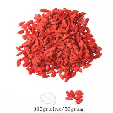 Hot sale Low Pesticide Dried goji berry fruit