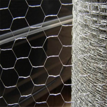 hot dipped galvanized weave chicken wire mesh