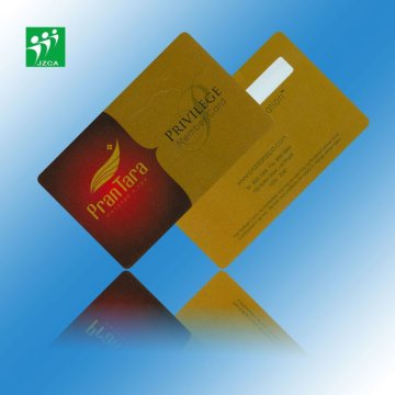 Promotional Items China Offset Printing PVC Plastic Cards