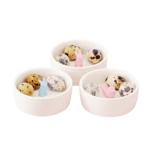 Cute Animal Ceramic Bowl Set for Snacks and Decor