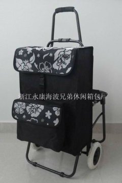 folding grocery cart with square bag