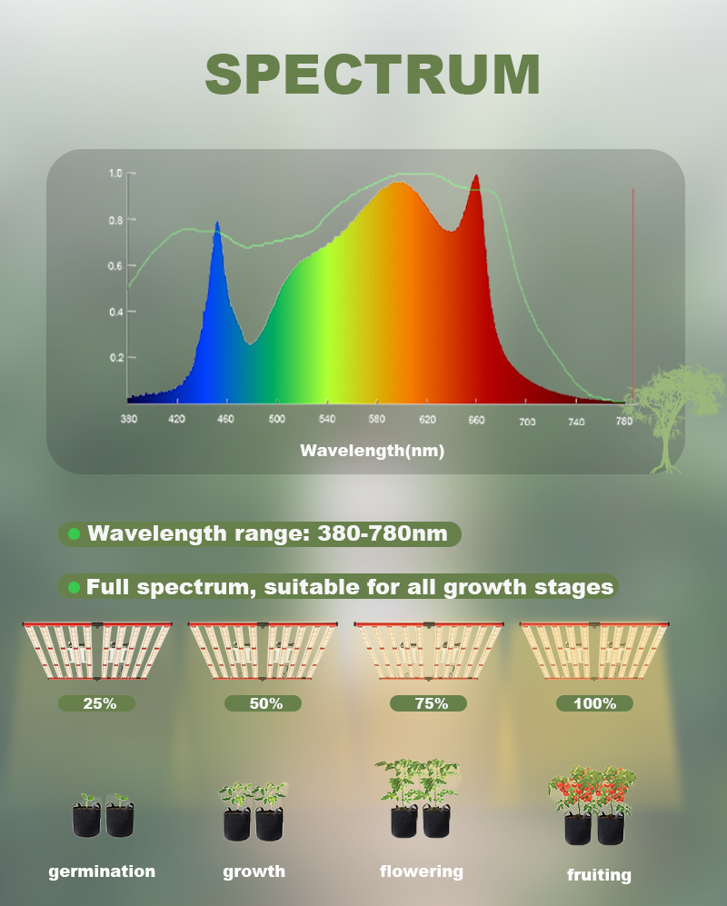 Aglex Greenhouse 1000W 전체 스펙트럼 LED가 빛을 발합니다