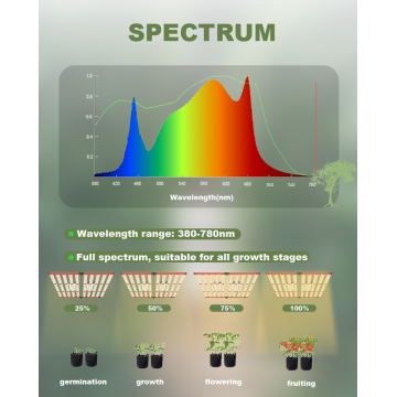 Aglex Greenhouse 1000W Spectre complet LED Grow Light