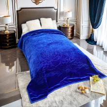 Super Soft Double Layer Plush Raschel Blanket - Custom Designed for Home