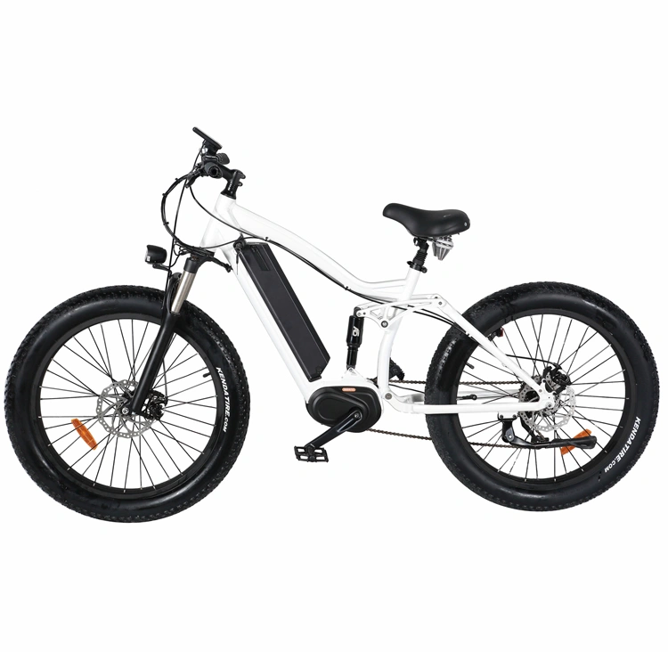 Snow Ebike Electric Mountain Bicycle China Electric Bike with Hidden Battery