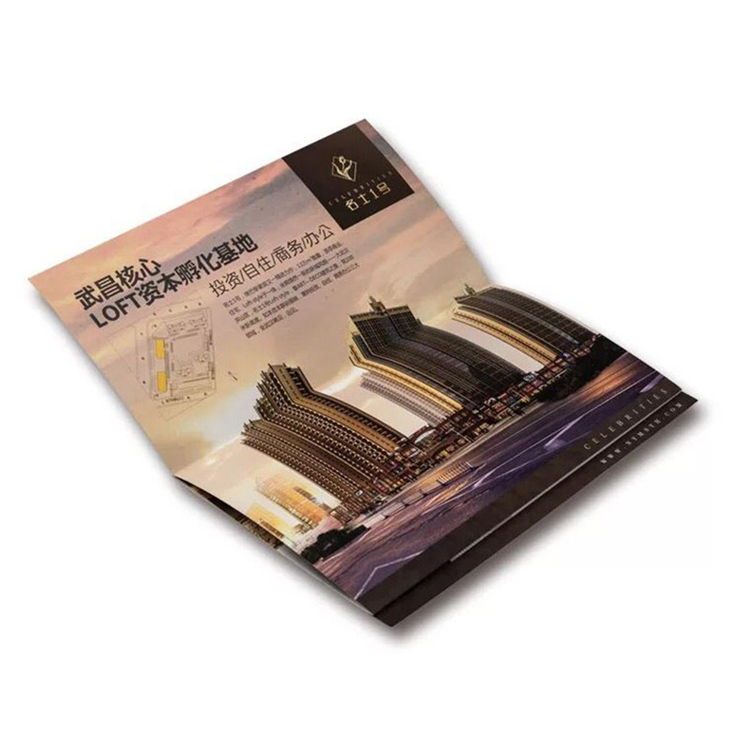 Manufacturers Custom A4 Flyer Brochure Poster Offset Printing