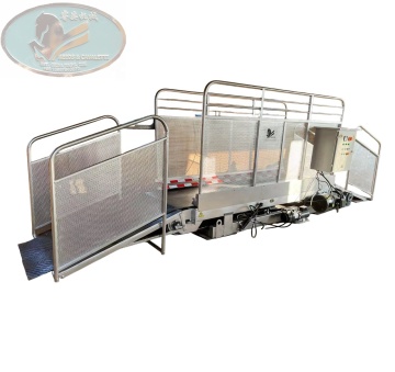 High-Speed Treadmill Training for Horse Strength in Equestrian Competitions