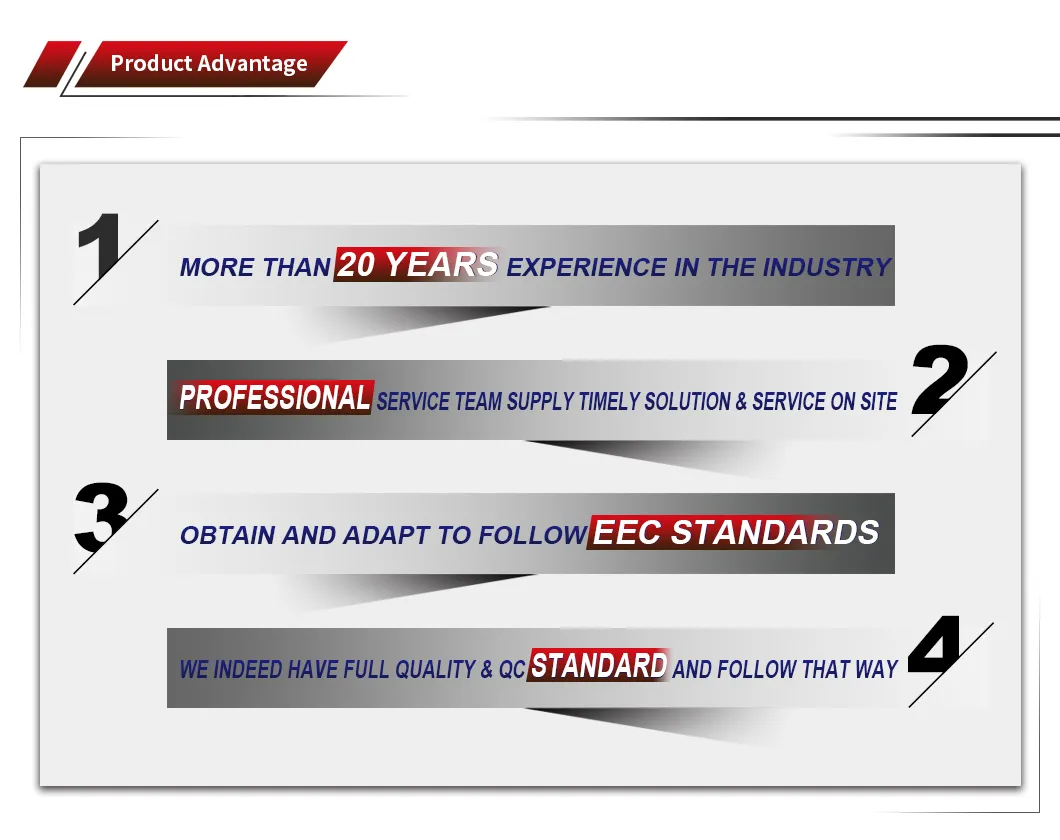 E Rickshaw for Export