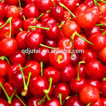 Fresh canned cherry fruit with good raw material