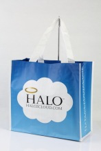 Promotional Woven Laminated Shopping Bags With PP Handles