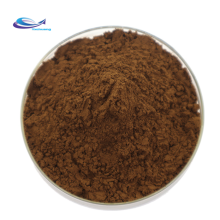 Pincredit Organic Reishi Extract Bulk Ganoderma Lucidum