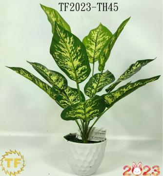 46cm Hosta leaf x 12 with plastic Pot