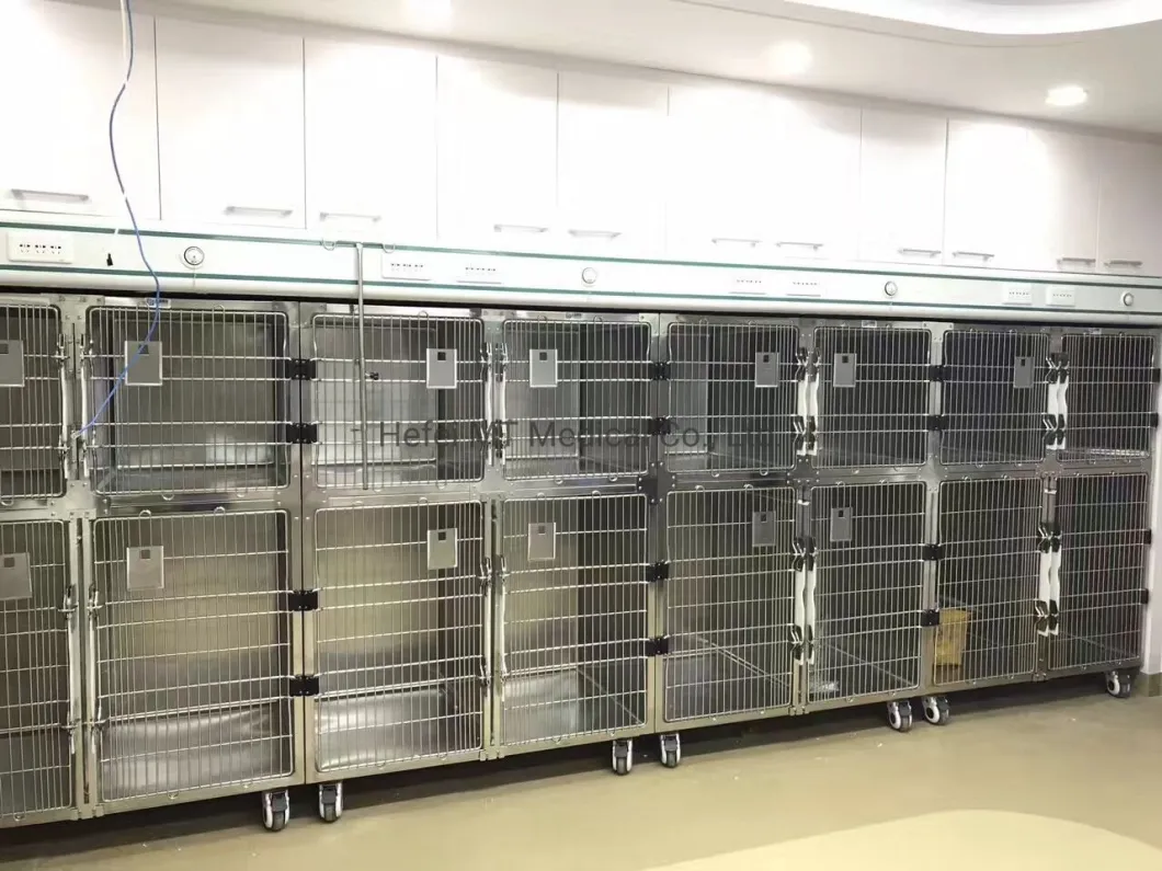 304 Stainless Steel Veterinary Equipment Display Cage for Sale