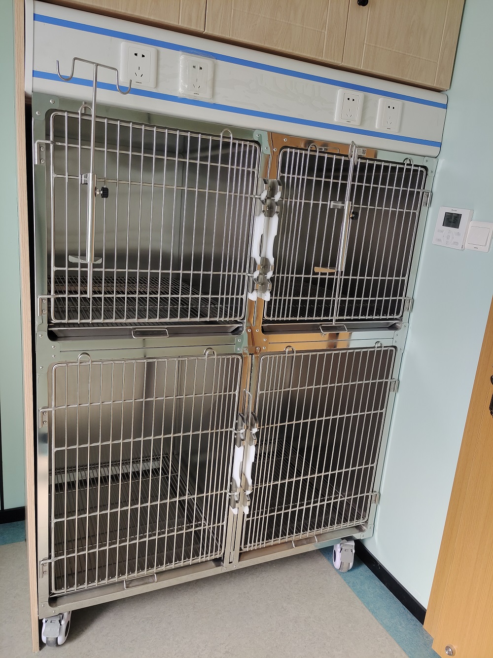 dog kennel dog kennel