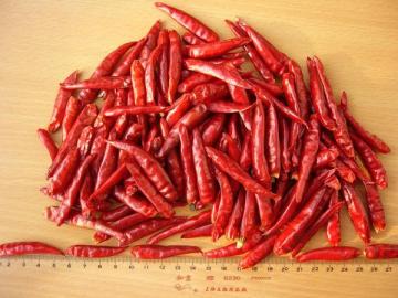 chaotian chilli