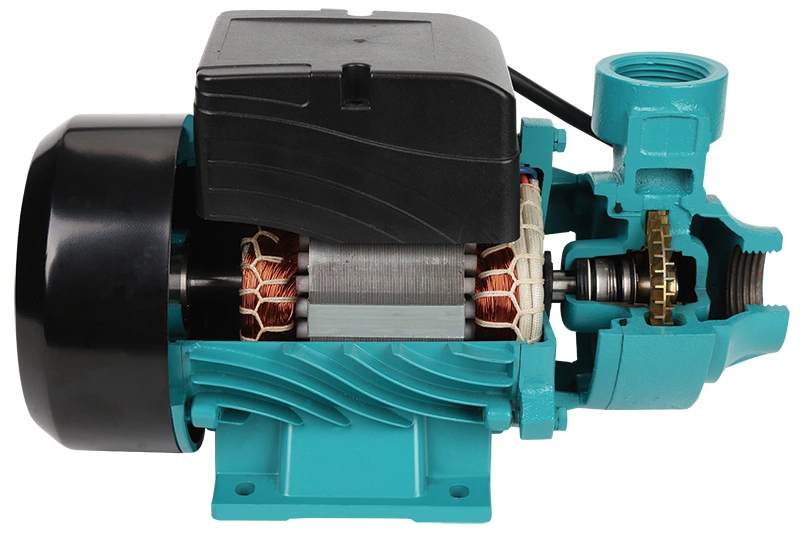 Self-Priming Vortex Pump Supplier