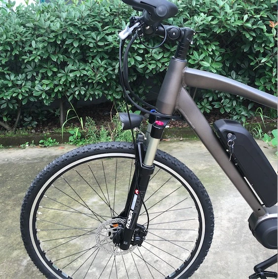 36V 250W 8 Speed Electric Bicycle