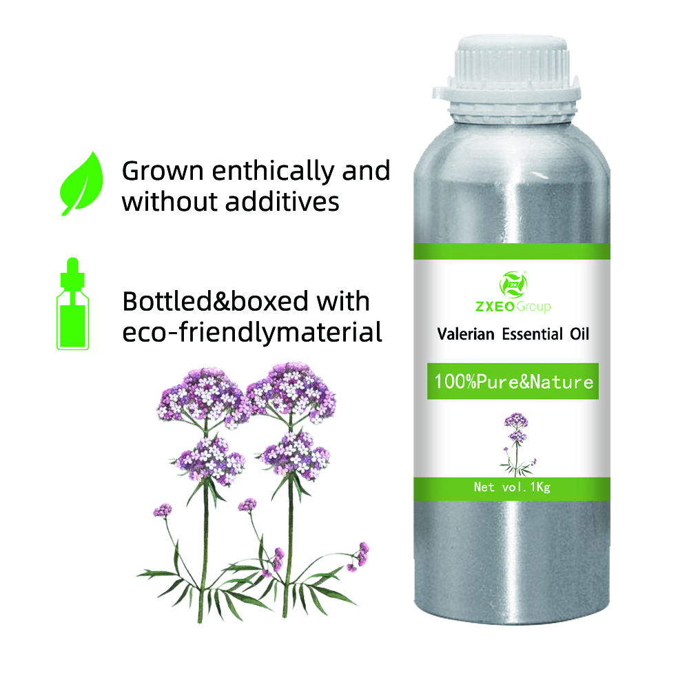 100% Pure And Natural Valerian Essential Oil High Quality Wholesale Bluk Essential Oil For Global Purchasers The Best Price