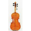 Violino per vernice spirito acero fiammato