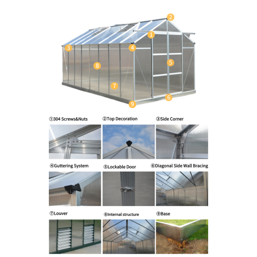 Vegetable Tunnel Greenhouses For Sale