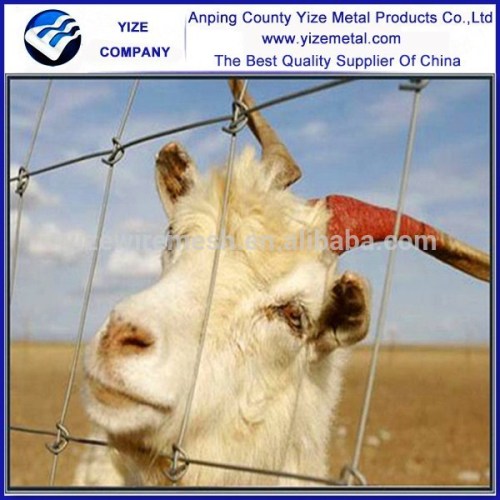 China manufacturer galvanized wire mesh horse fence / Electric Fence for Cattle