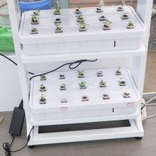 Sistema de cultivo de sistemas hidropónicos con luz LED simple