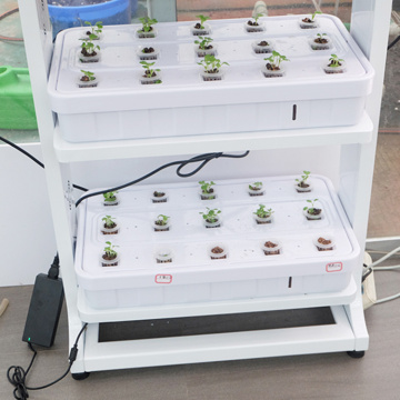 Sistemi idroponici di coltivazione della luce semplice a LED Sistemi di coltivazione