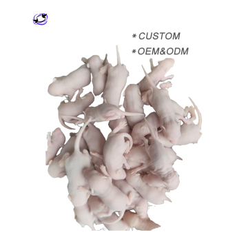 Frozen Rodent Feeders: Mice and Rats