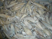 Seafood Export WhosaleFrozen California Squid