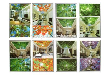 Inside Decoration of Hanging Artistic Waterproof 3D Ceiling Panels