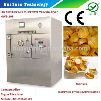 Microwave Vacuum Fruit Chips Dehydrator
