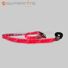 Light Up Dog Collar And Lead Leash Set