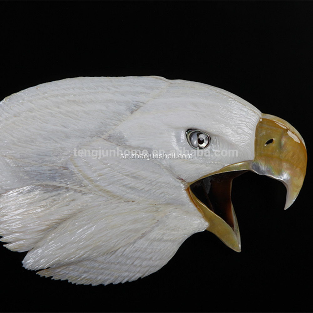 Vägg dekorativa MOP Eagle huvudet forma bilden med träram