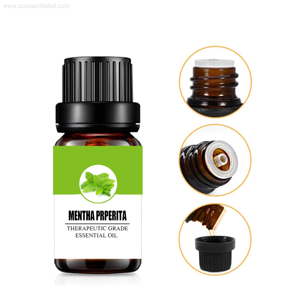 Factory supply pure mentha piperita essential oil