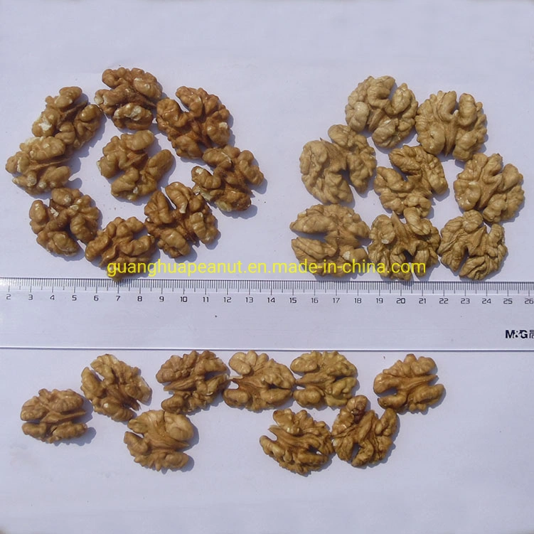 Full of Nutrition Health 2021 New Crop Walnut Kernel