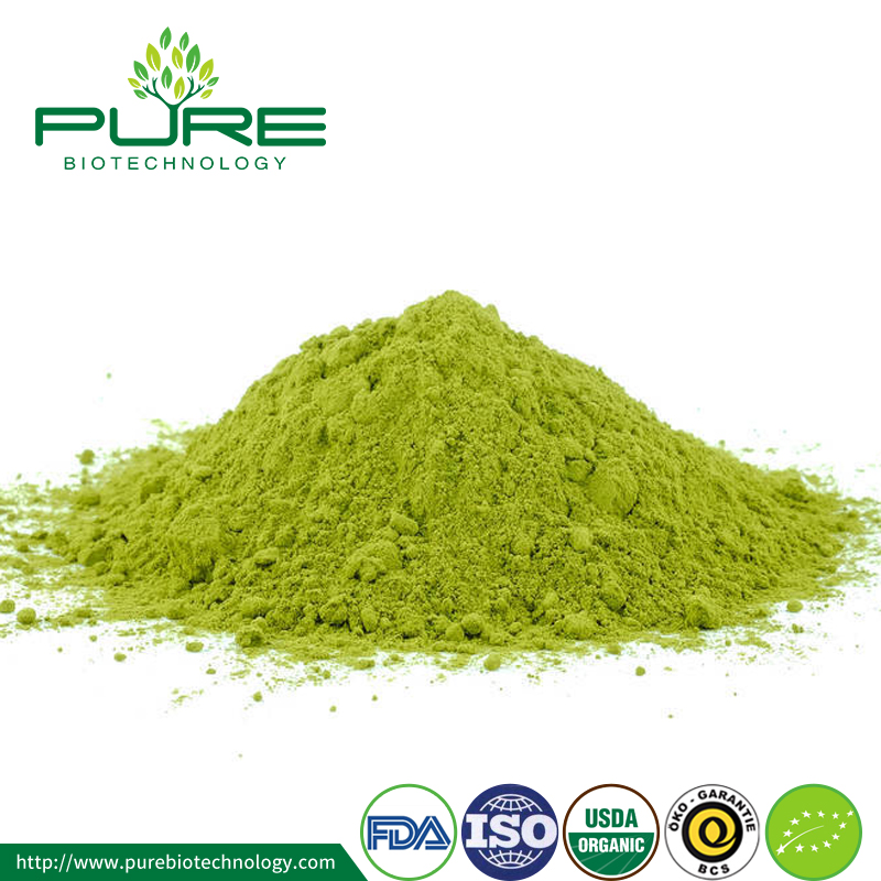 ماتشا الشاي الأخضر استخراج مسحوق Matcha Green Tea Extract Powder