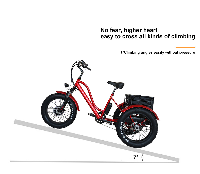 electric tricycle with rear bag