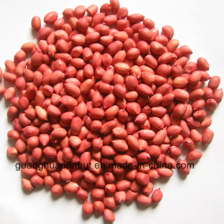 Hot Sale New Crop Red Skin Peanut Kernels 50/60 60/70