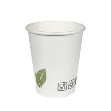 White Paper Disposable 8 oz Coffee Cups