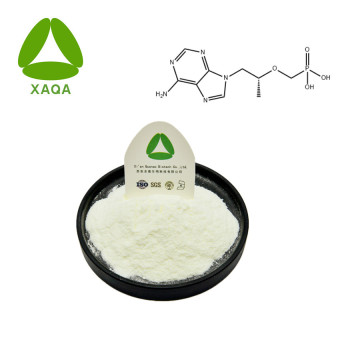 Tenofovir Powder Cas No 147127-20-6