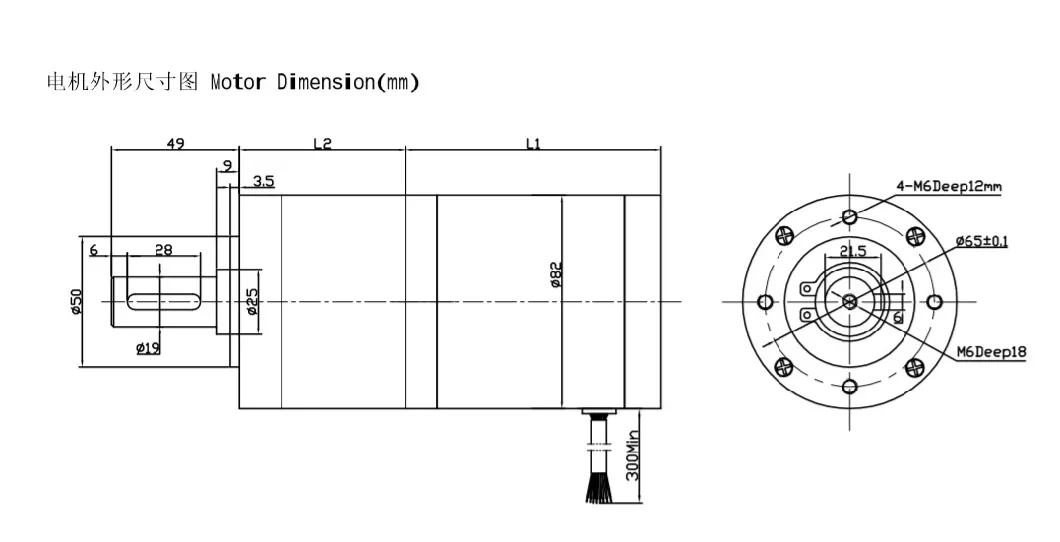 80mm 48V Planetary Gear Reducer Permanent Magnet Brushless DC Motor for Motorcycle