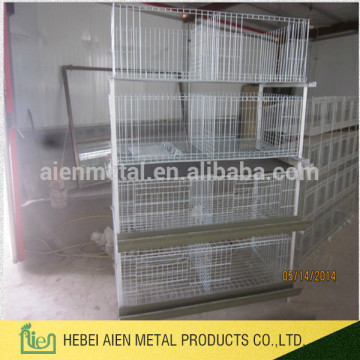 poultry broiler chicken cage