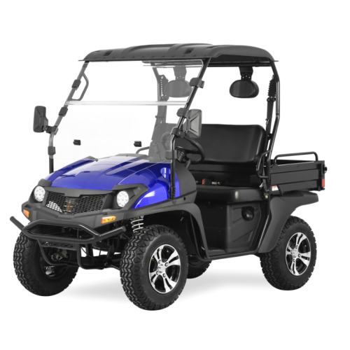 Jeep Style 200cc Efi Golf CART UTV